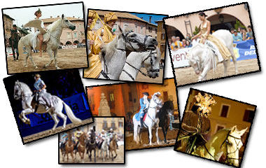 img regioni