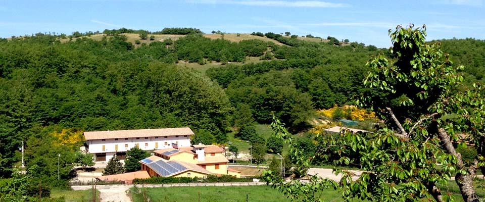 Ristorante Da Tonino